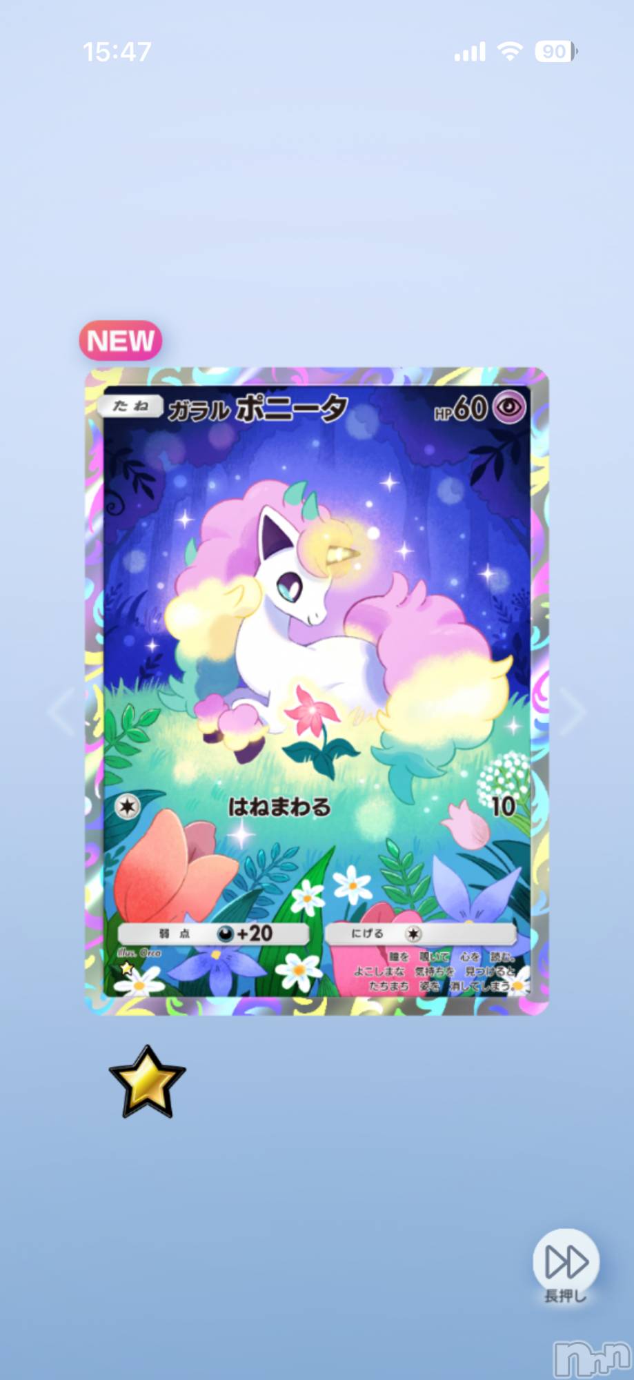 ��Į����Х��顦����֥���� �ץ���� ����(����� �ץ���� ������) ��2026ǯ2��24���̥�֥����֡���