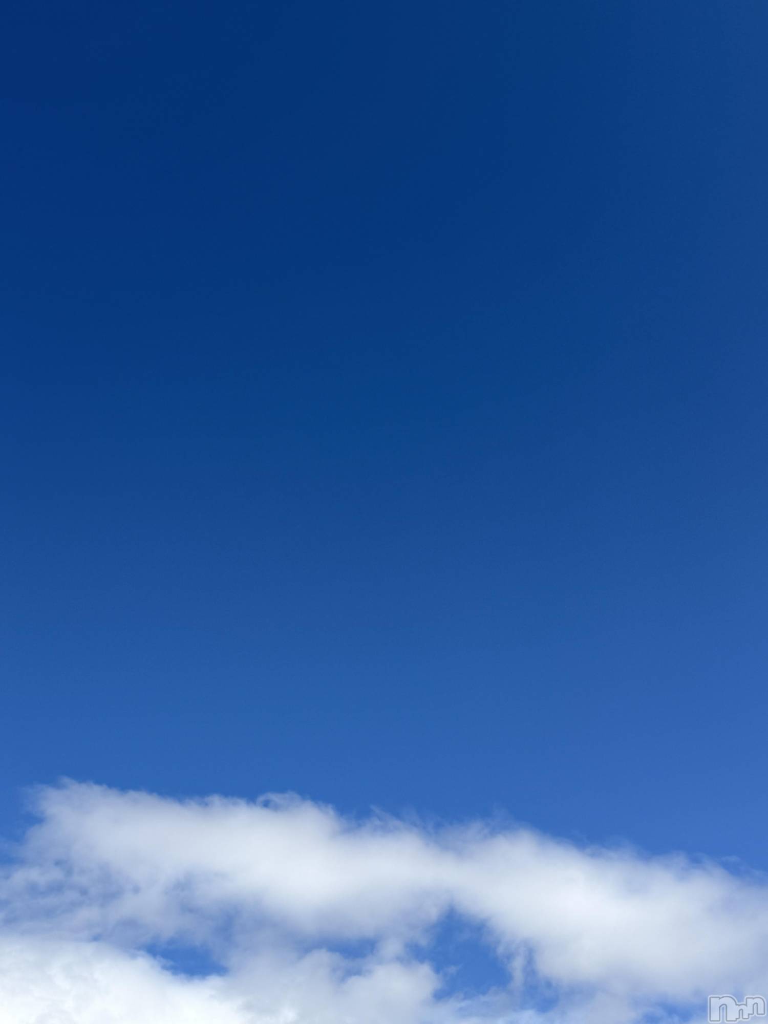 ��Į����Х��顦����֥���� �ץ���� ����(����� �ץ���� ������) ��2026ǯ2��26���̥�֥����֡���