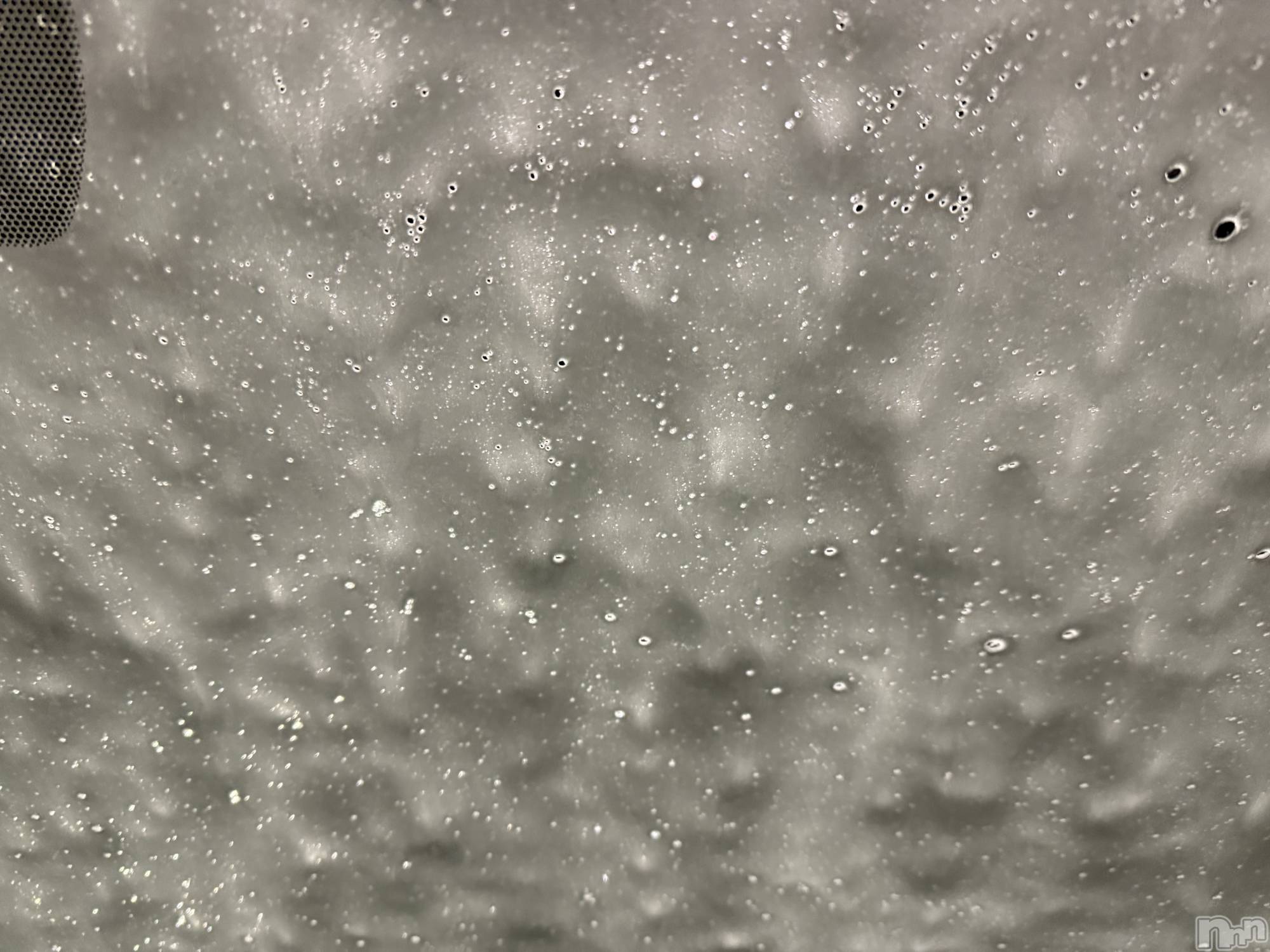 ��Į����Х��顦����֥���� �ץ���� ����(����� �ץ���� ������) ��2026ǯ2��28���̥�֥����֡���