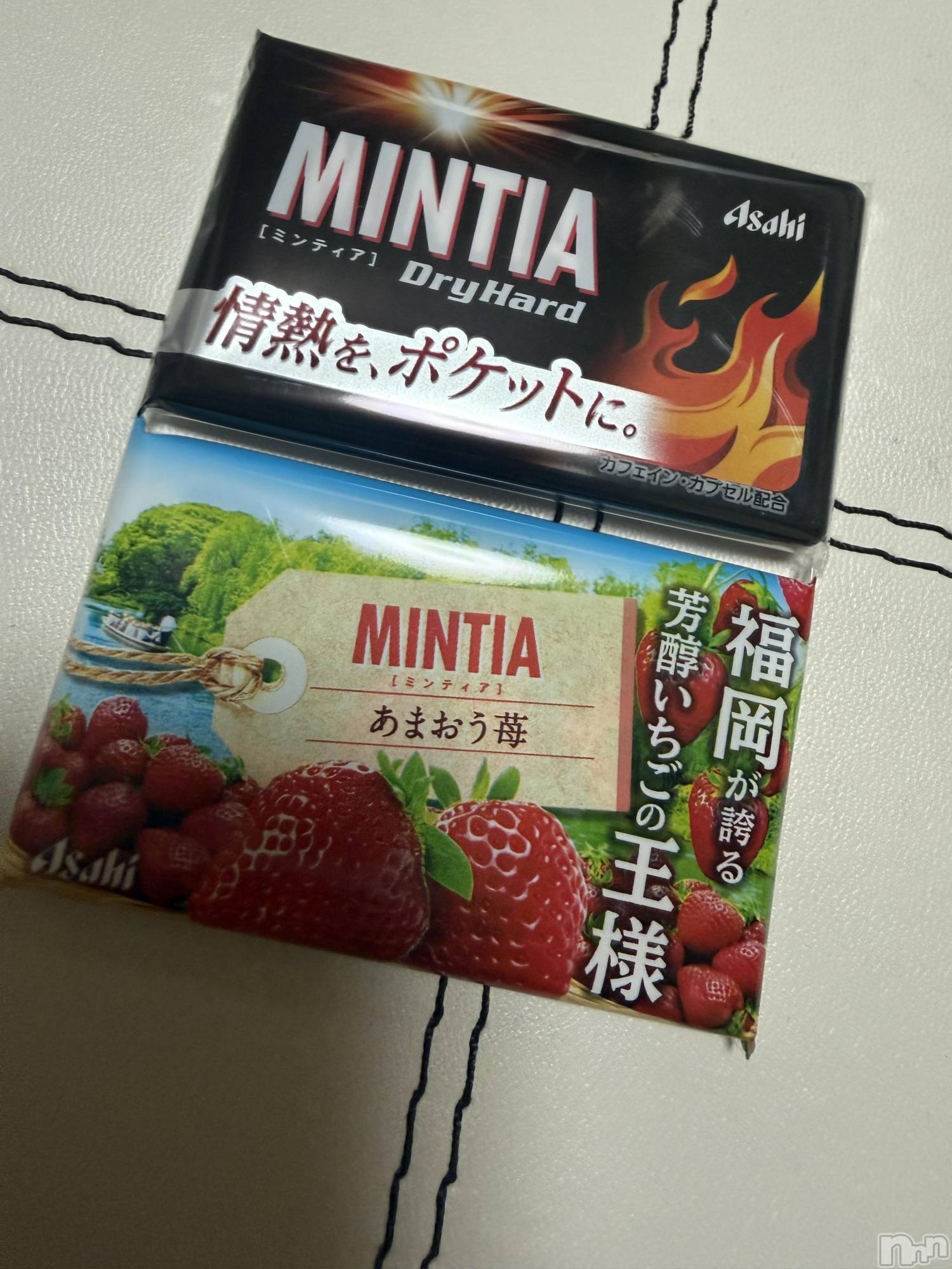 ��Į����Х��顦����֥���� �ץ���� ����(����� �ץ���� ������) ��2026ǯ2��28���̥�֥����֡���