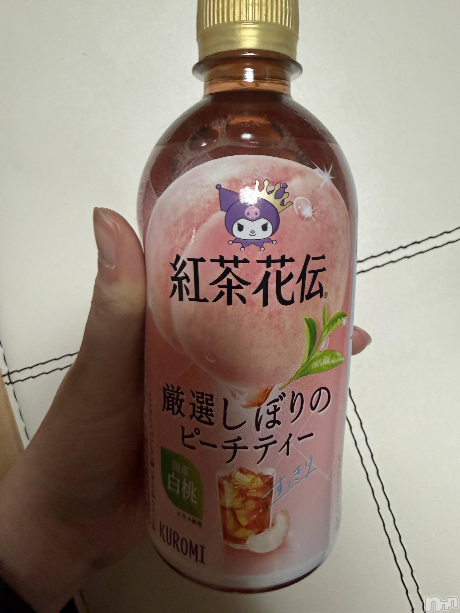 ��Į����Х��顦����֥���� �ץ���� ����(����� �ץ���� ������) ��2026ǯ3��3���̥�֥����֡���