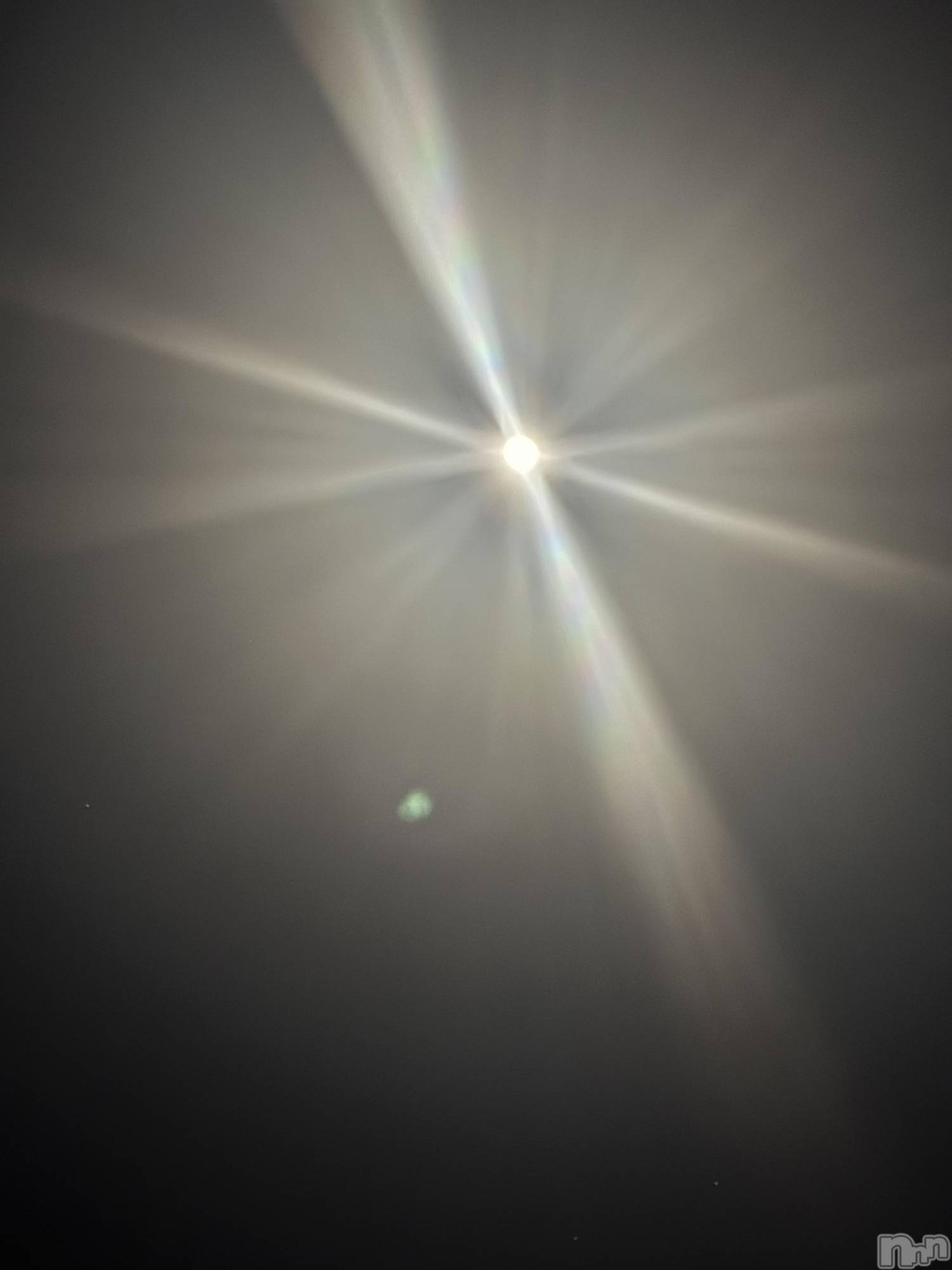 ��Į����Х��顦����֥���� �ץ���� ����(����� �ץ���� ������) ��2026ǯ3��5���̥�֥����֡���