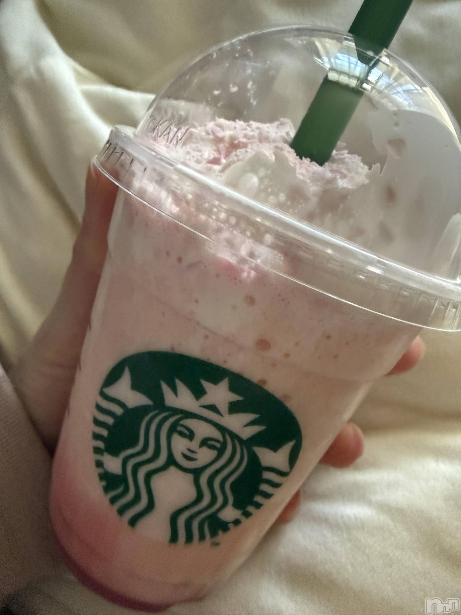 ��Į����Х��顦����֥���� �ץ���� ����(����� �ץ���� ������) ��2026ǯ3��6���̥�֥����֡���