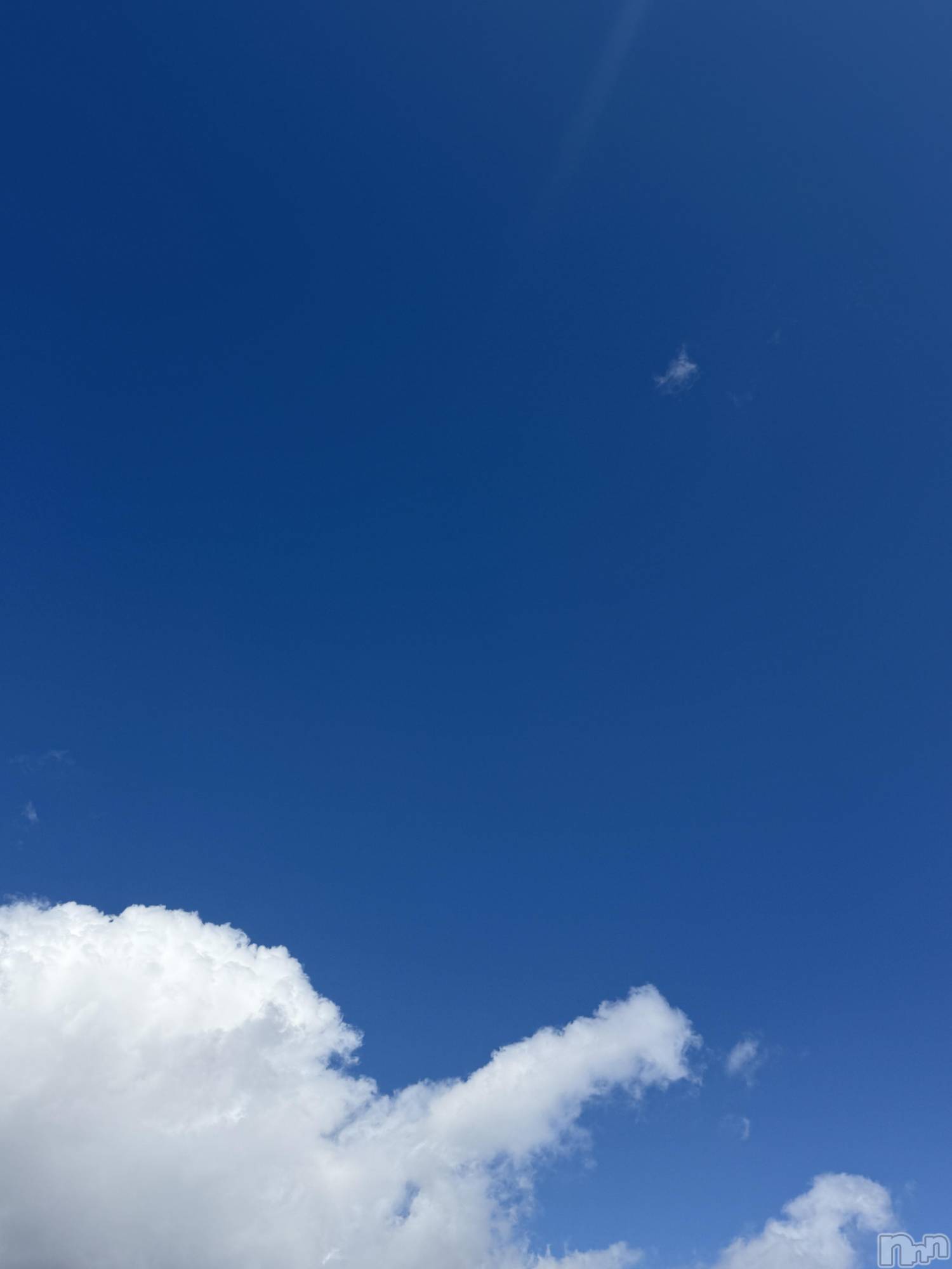 ��Į����Х��顦����֥���� �ץ���� ����(����� �ץ���� ������) ��2026ǯ3��8���̥�֥����֡���