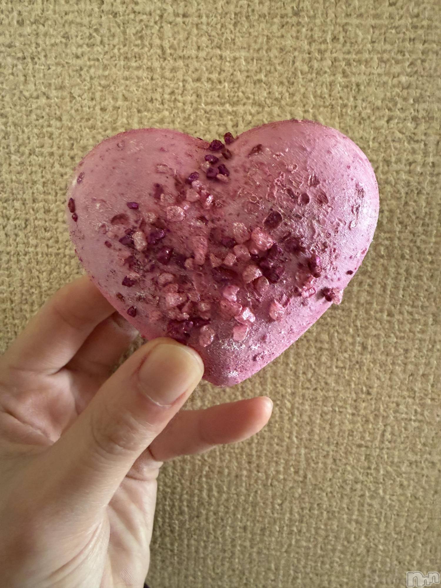 ��Į����Х��顦����֥���� �ץ���� ����(����� �ץ���� ������) ��2026ǯ3��9���̥�֥����֡���