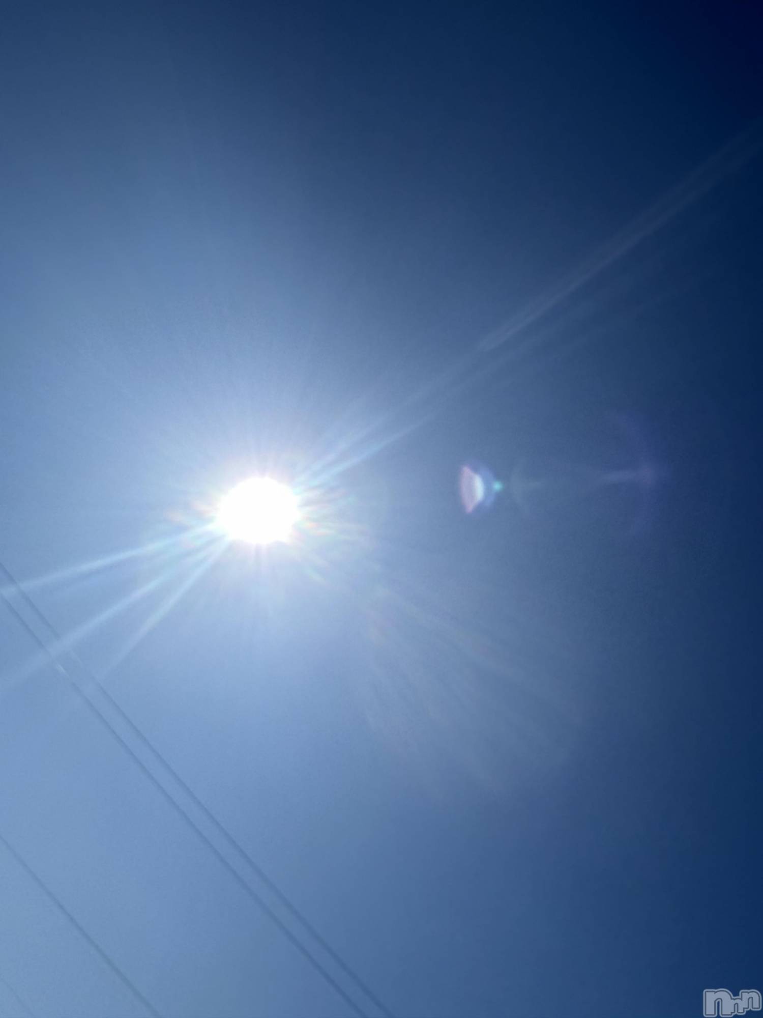 ��Į����Х��顦����֥���� �ץ���� ����(����� �ץ���� ������) ��2026ǯ3��9���̥�֥����֡���