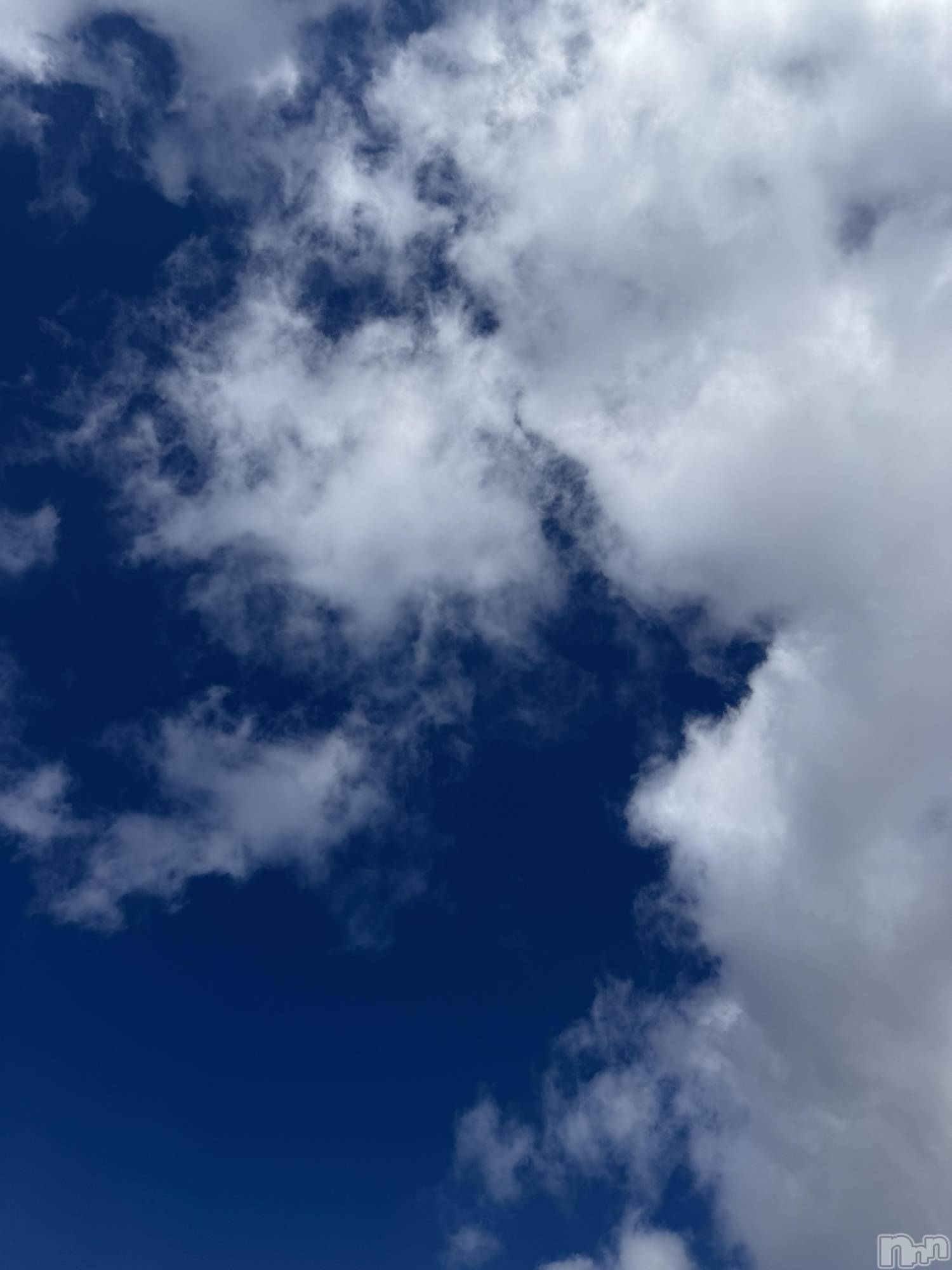 ��Į����Х��顦����֥���� �ץ���� ����(����� �ץ���� ������) ��2026ǯ3��10���̥�֥����֡���