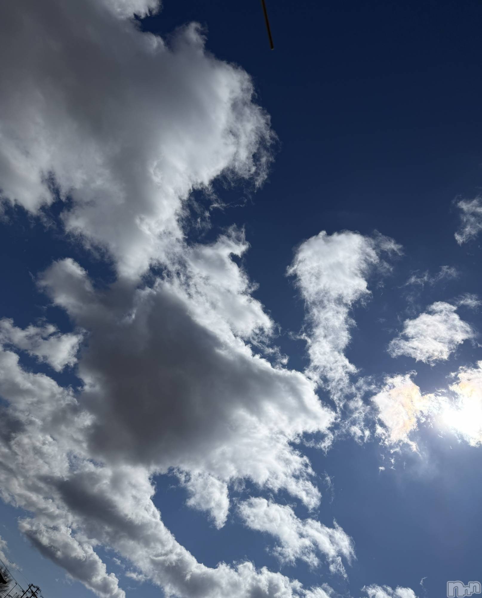 ��Į����Х��顦����֥���� �ץ���� ����(����� �ץ���� ������) ��2026ǯ3��12���̥�֥����֡���