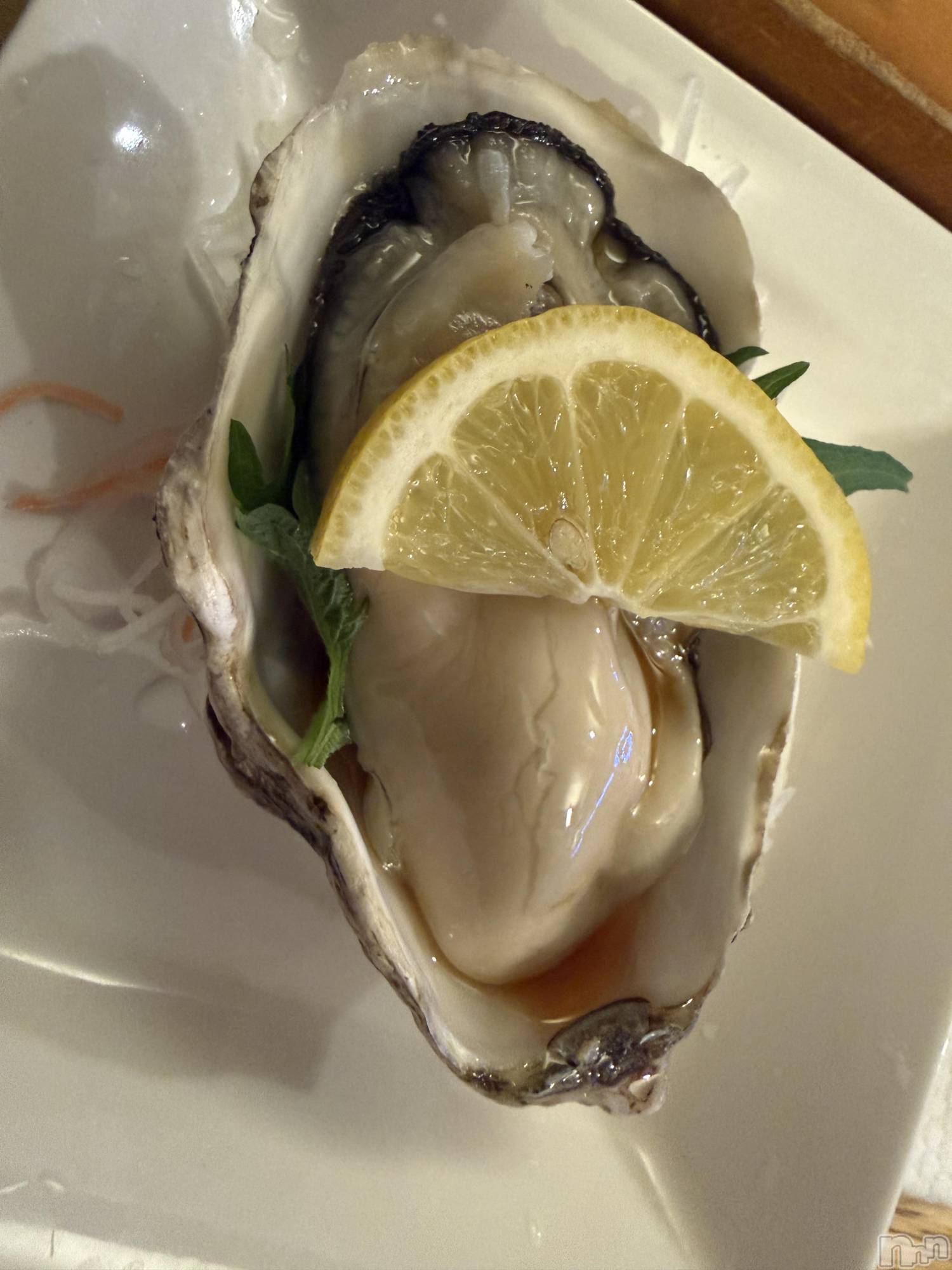 ��Į����Х��顦����֥���� �ץ���� ����(����� �ץ���� ������) ��2026ǯ3��14���̥�֥����֡���