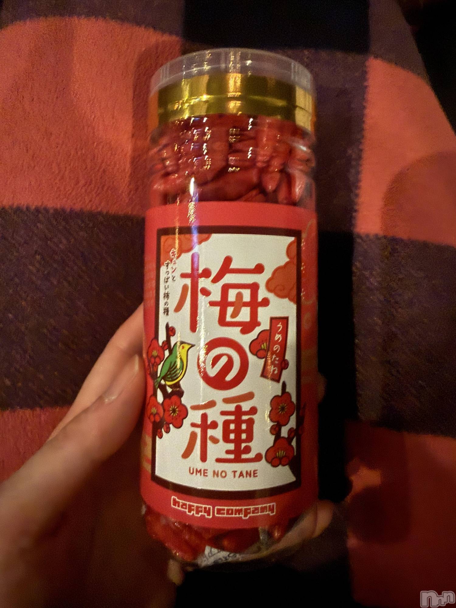 ��Į����Х��顦����֥���� �ץ���� ����(����� �ץ���� ������) ��2026ǯ3��17���̥�֥����֡���