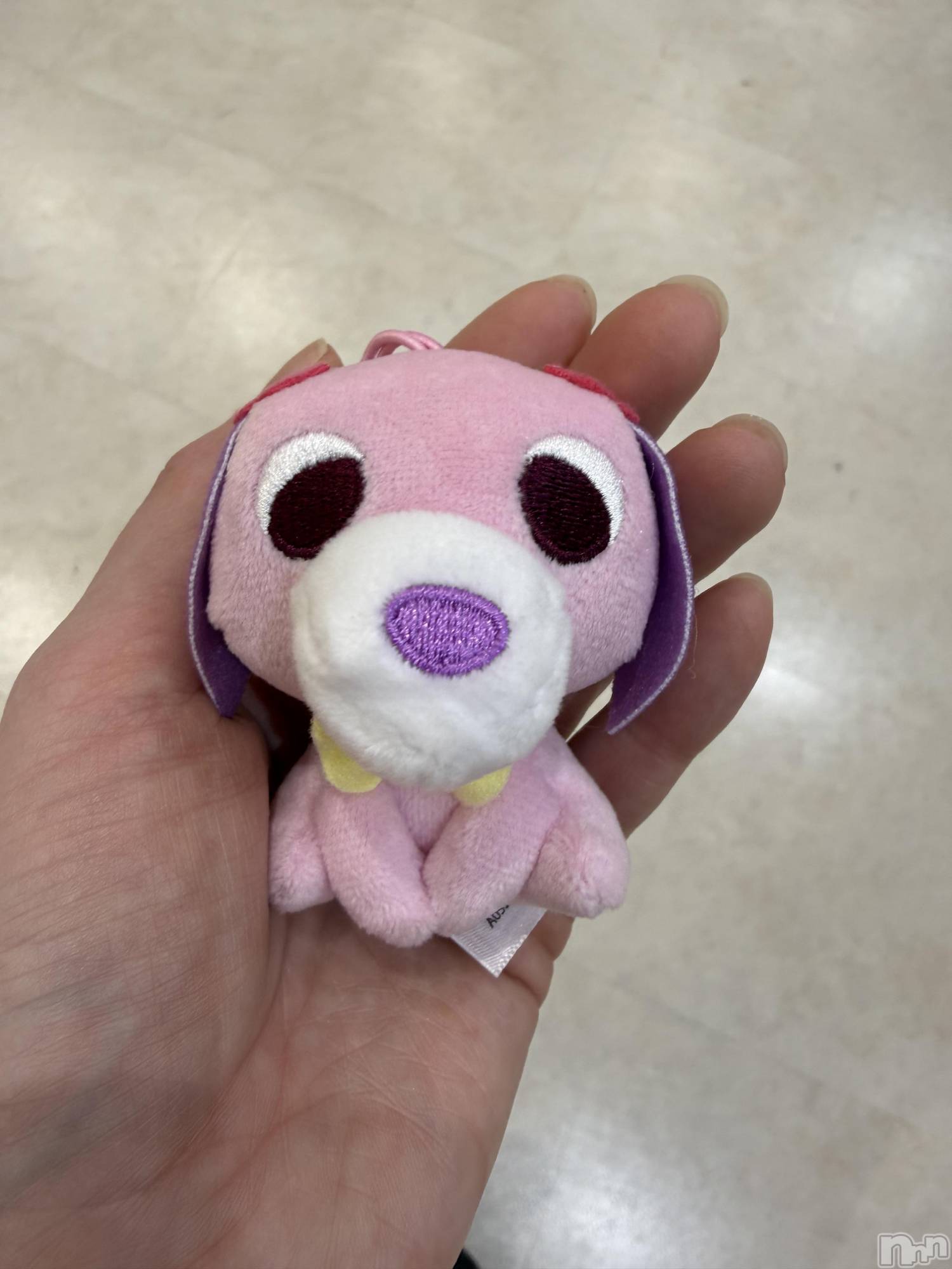 ��Į����Х��顦����֥���� �ץ���� ����(����� �ץ���� ������) ��2026ǯ3��23���̥�֥����֡���