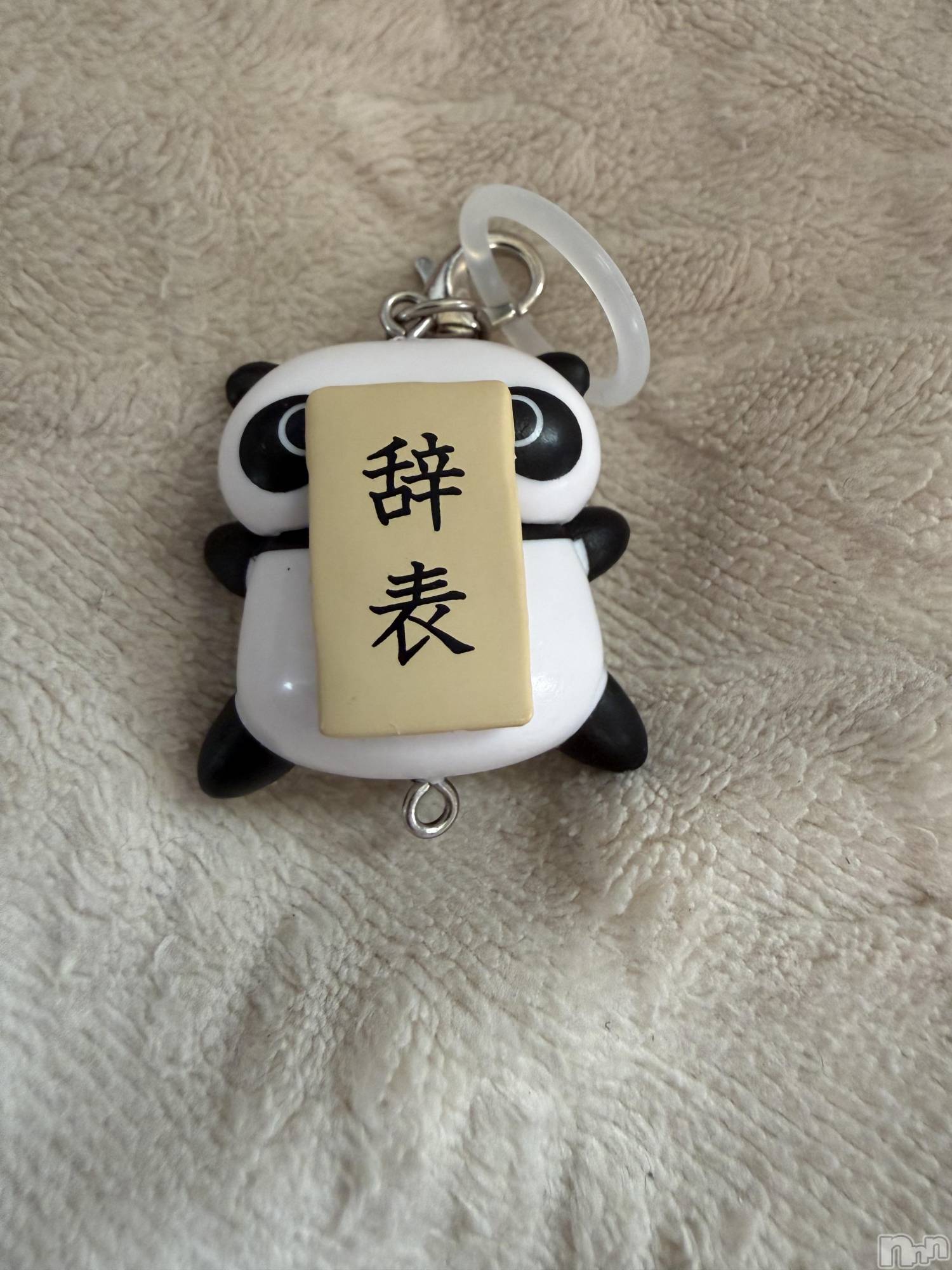 ��Į����Х��顦����֥���� �ץ���� ����(����� �ץ���� ������) ��2026ǯ3��24���̥�֥����֡���