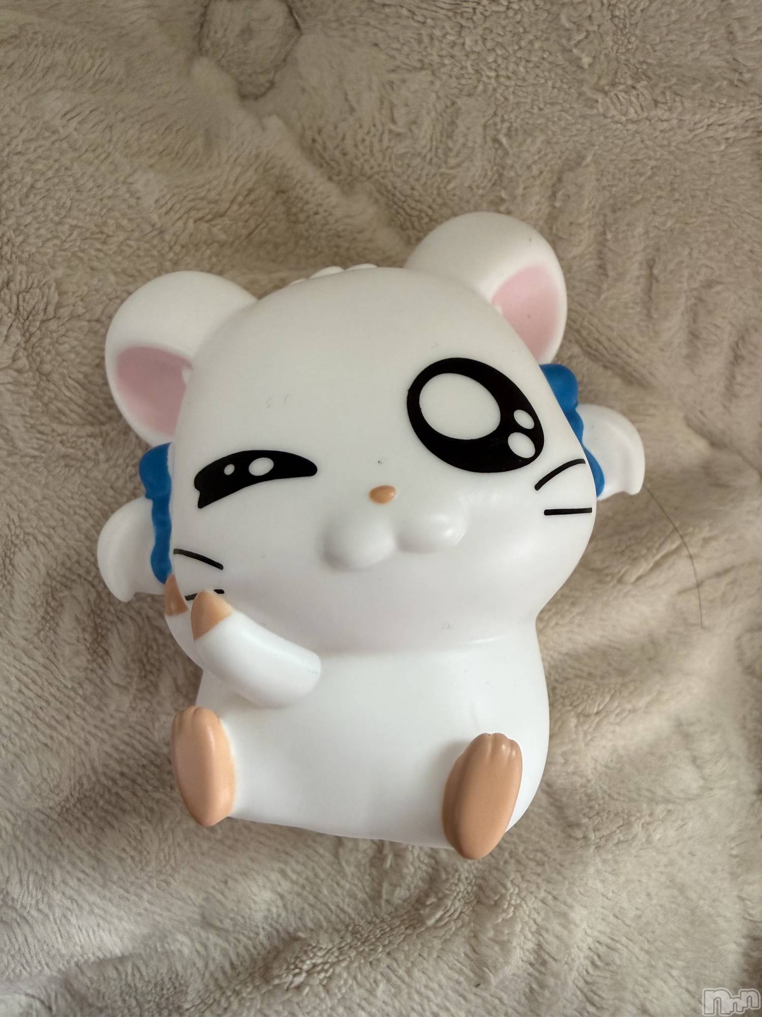 ��Į����Х��顦����֥���� �ץ���� ����(����� �ץ���� ������) ��2026ǯ3��24���̥�֥����֡���