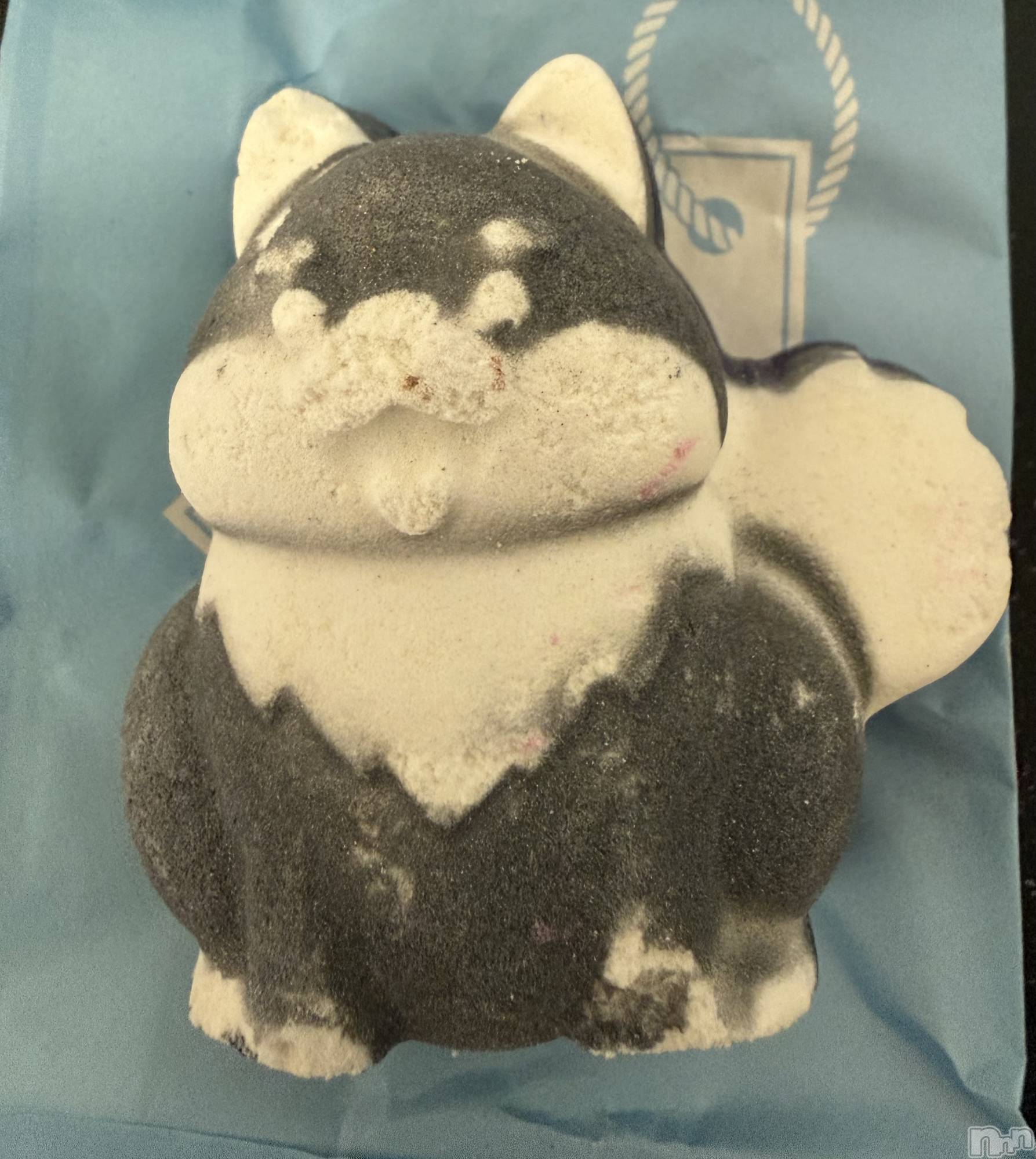 ��Į����Х��顦����֥���� �ץ���� ����(����� �ץ���� ������) ��2026ǯ3��25���̥�֥����֡���