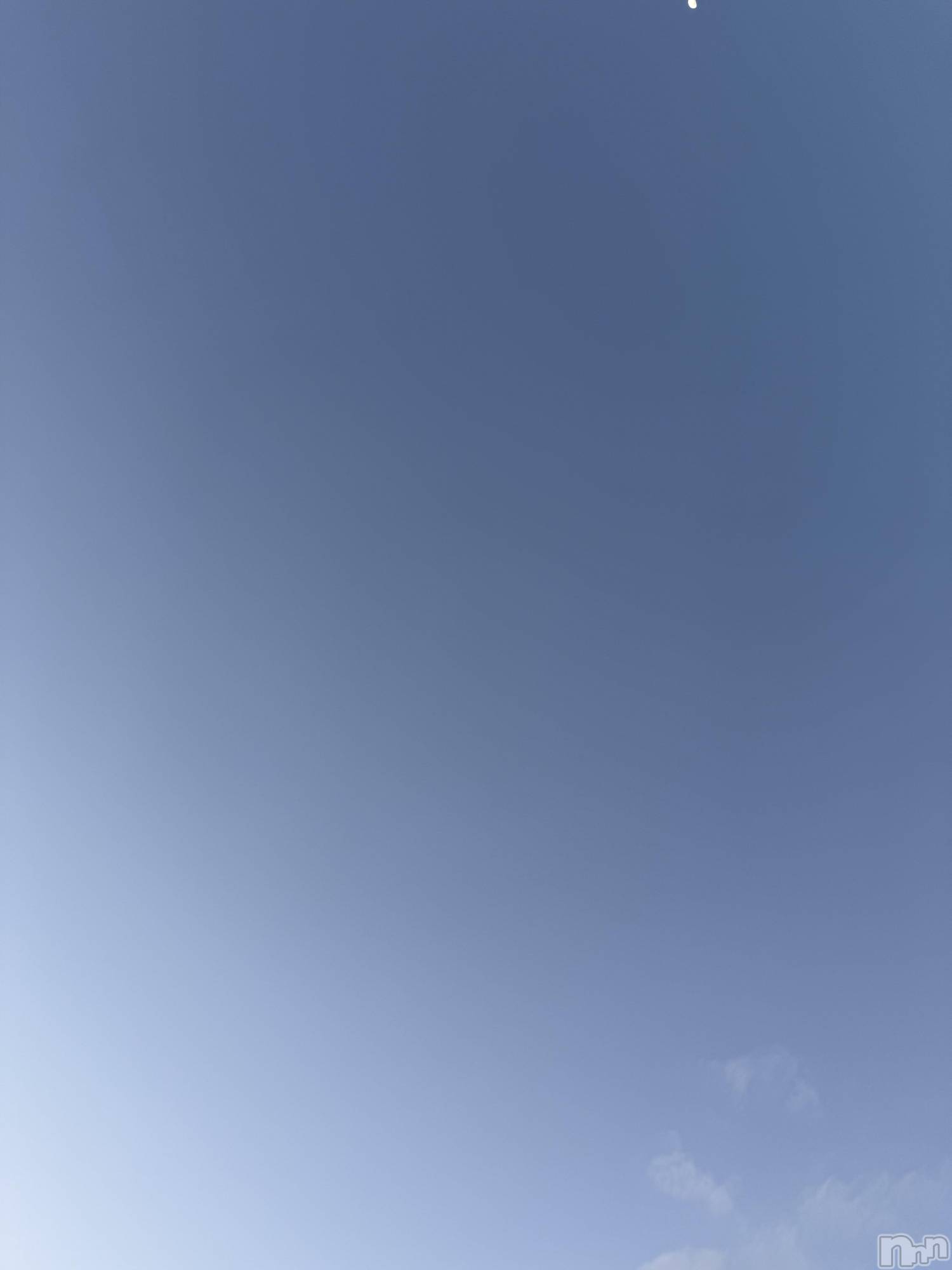 ��Į����Х��顦����֥���� �ץ���� ����(����� �ץ���� ������) ��2026ǯ3��28���̥�֥����֡���