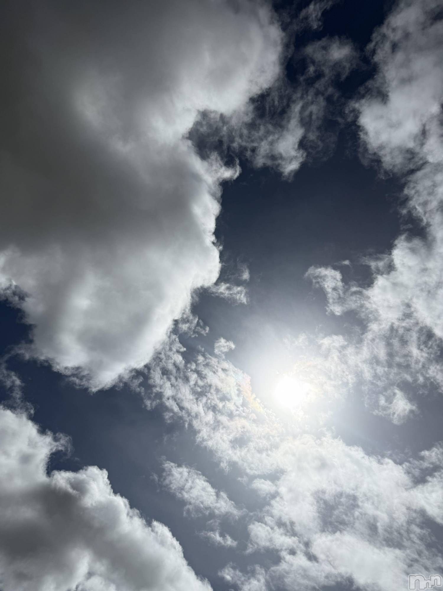 ��Į����Х��顦����֥���� �ץ���� ����(����� �ץ���� ������) ��2026ǯ4��4���̥�֥����֡���