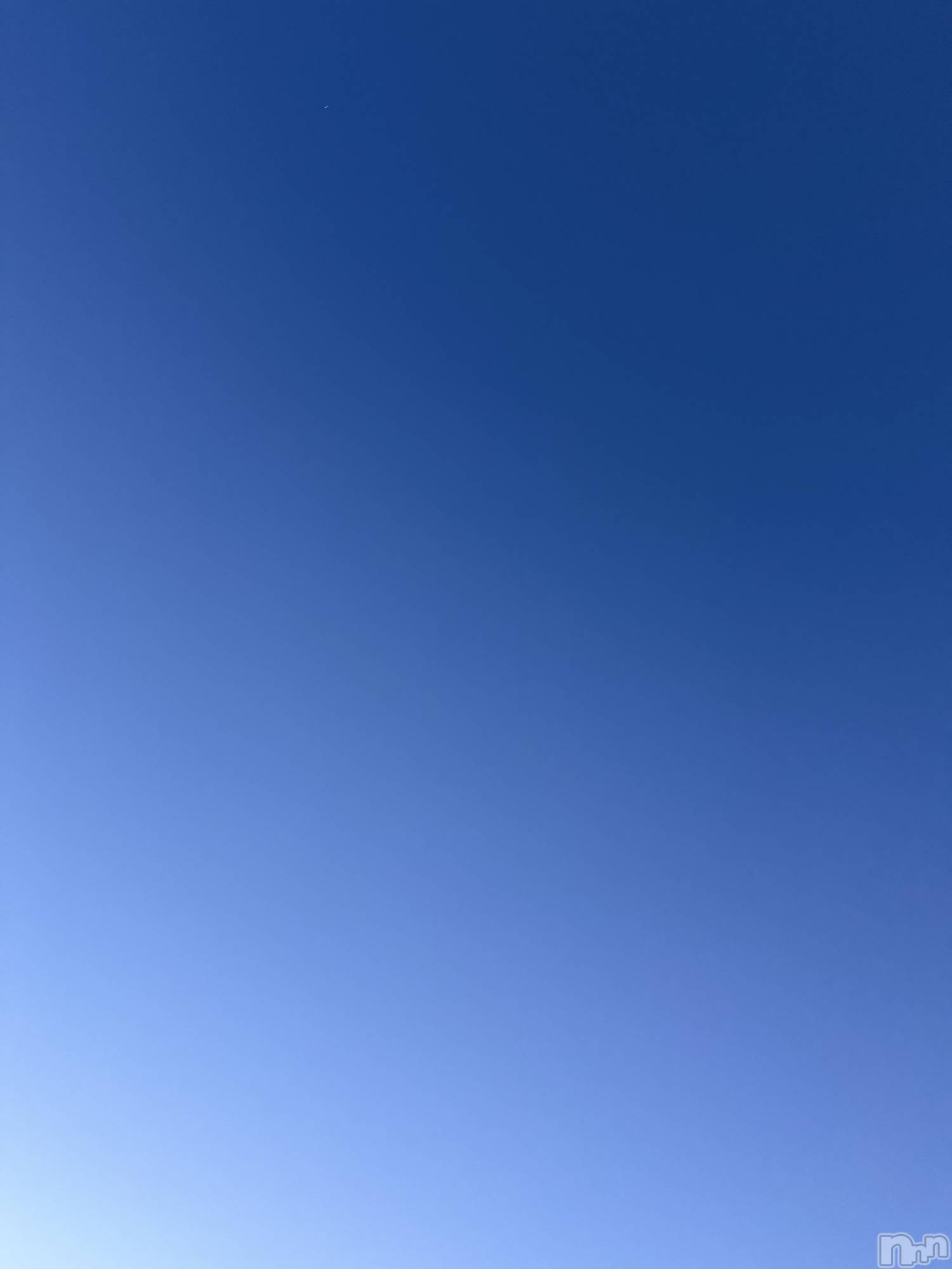 ��Į����Х��顦����֥���� �ץ���� ����(����� �ץ���� ������) ��2026ǯ4��6���̥�֥����֡���