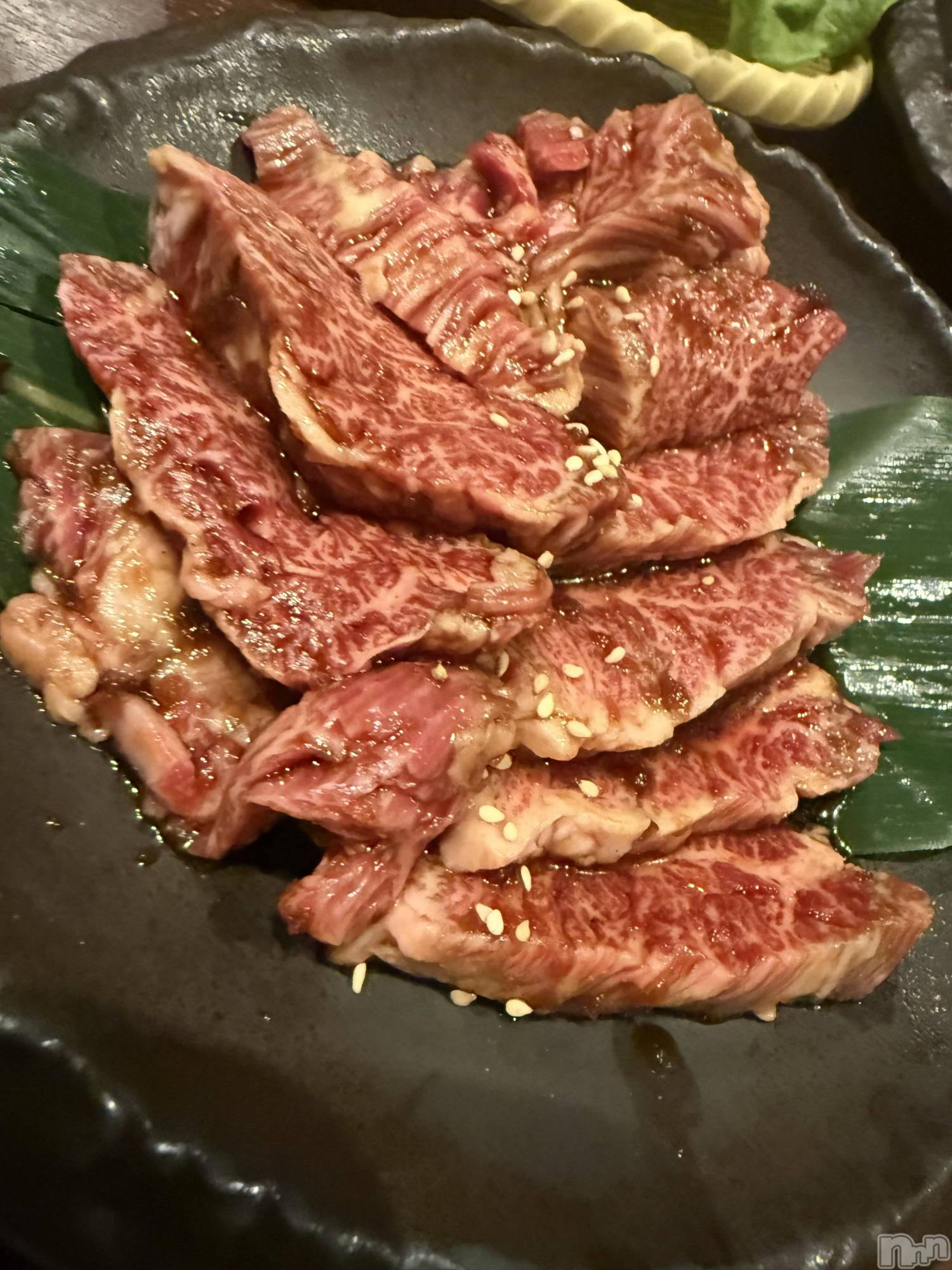 ��Į����Х��顦����֥���� �ץ���� ����(����� �ץ���� ������) ��2026ǯ4��7���̥�֥����֡���