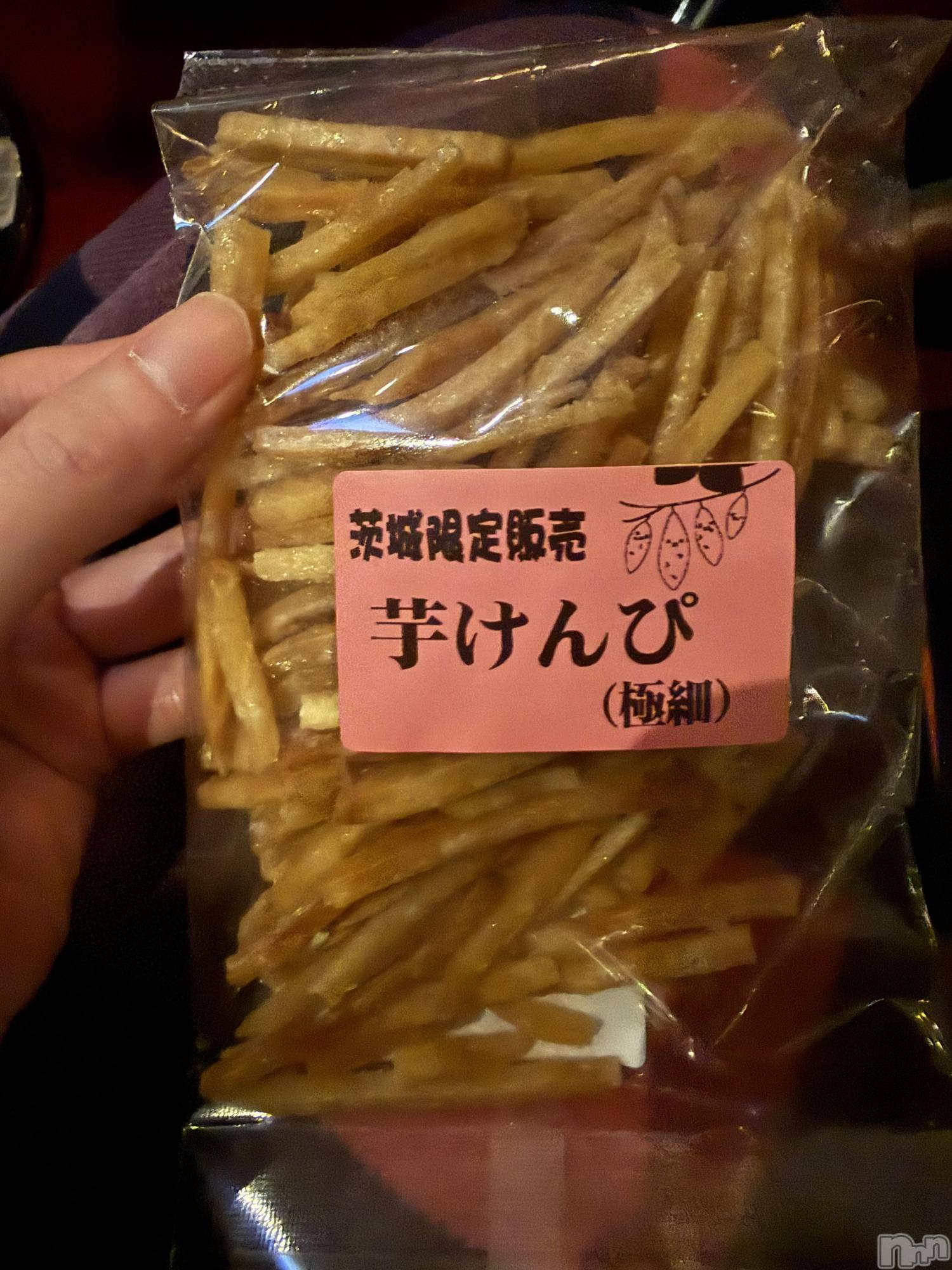 ��Į����Х��顦����֥���� �ץ���� ����(����� �ץ���� ������) ��2026ǯ4��9���̥�֥����֡���