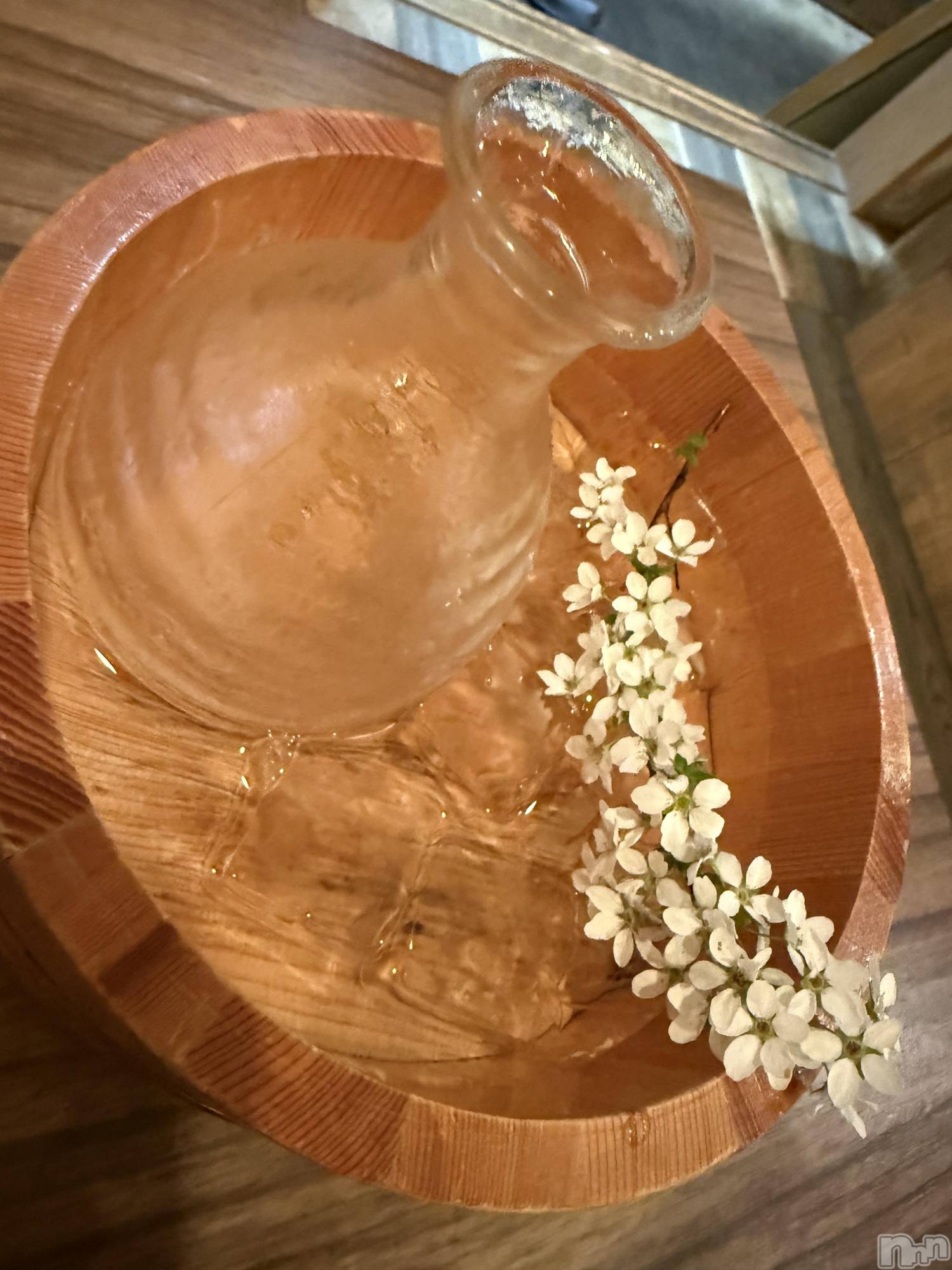 ��Į����Х��顦����֥���� �ץ���� ����(����� �ץ���� ������) ��2026ǯ4��10���̥�֥����֡���