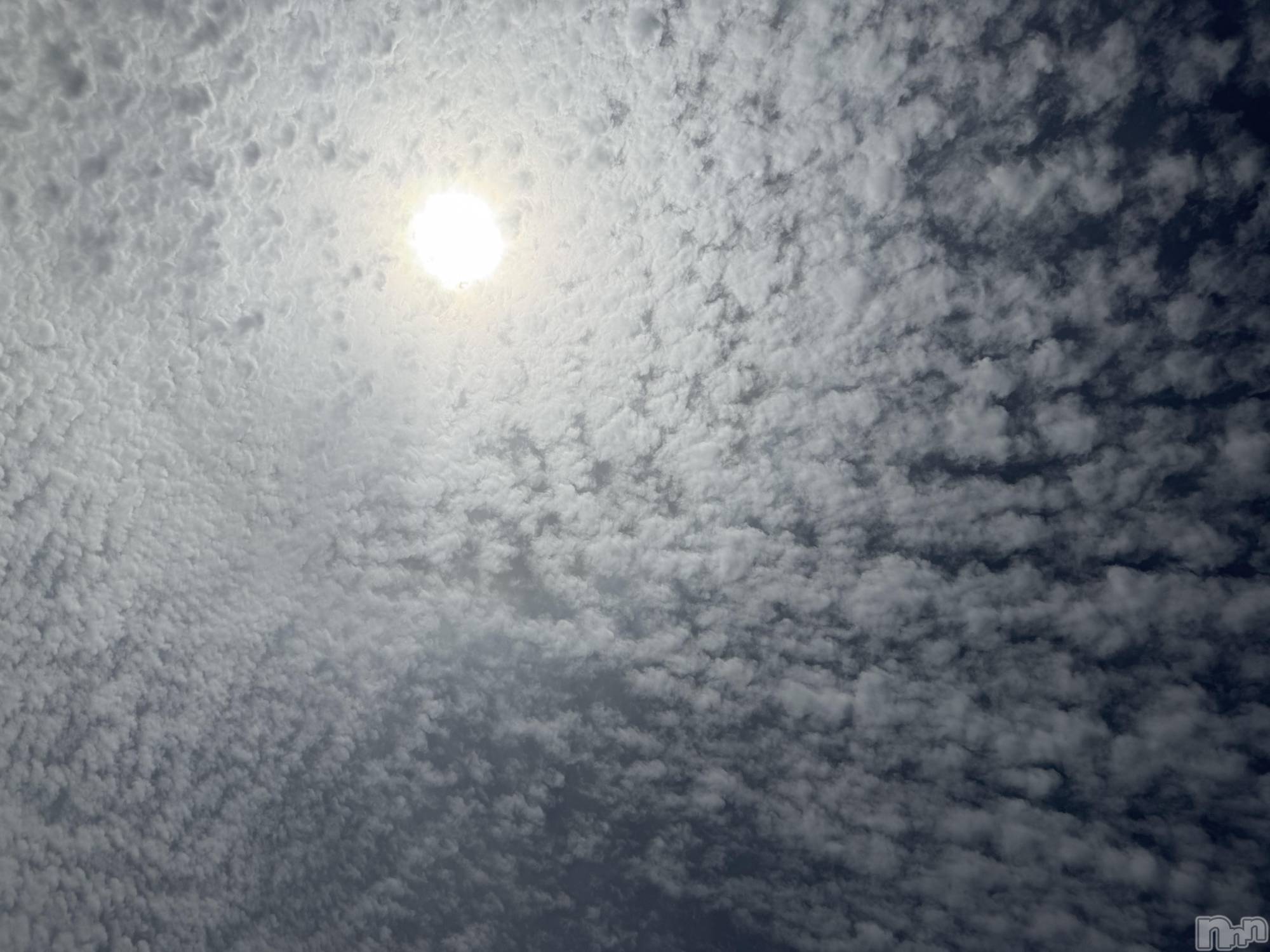 ��Į����Х��顦����֥���� �ץ���� ����(����� �ץ���� ������) ��2026ǯ4��12���̥�֥����֡���