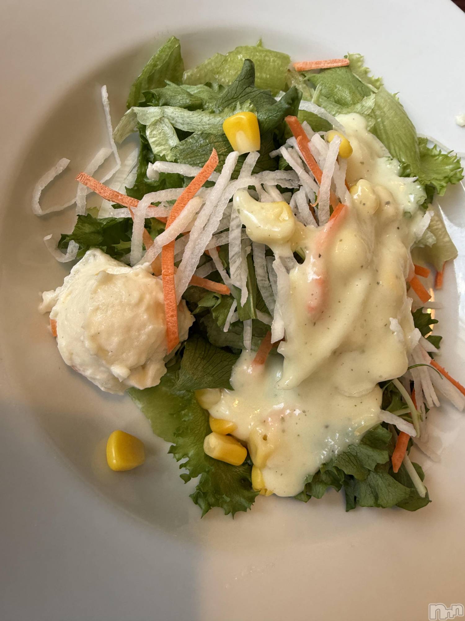 ��Į����Х��顦����֥���� �ץ���� ����(����� �ץ���� ������) ��2026ǯ4��17���̥�֥����֡���