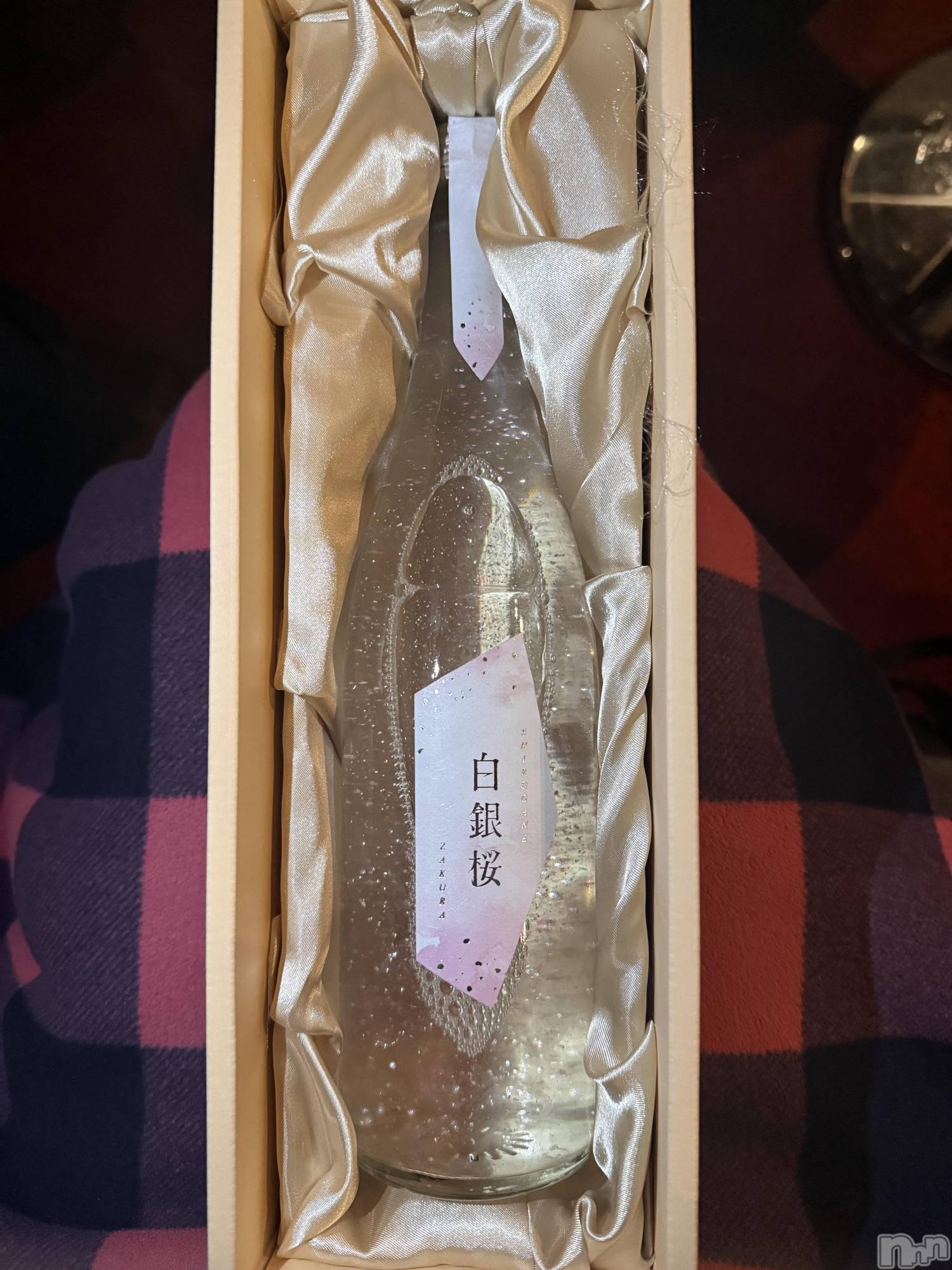 ��Į����Х��顦����֥���� �ץ���� ����(����� �ץ���� ������) ��2026ǯ4��17���̥�֥����֡���