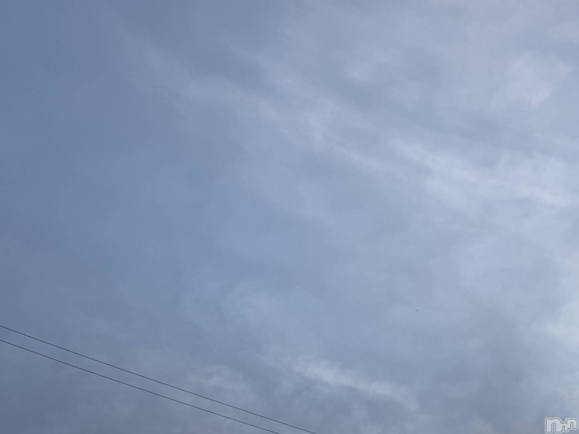 ��Į����Х��顦����֥���� �ץ���� ����(����� �ץ���� ������) ��2026ǯ4��21���̥�֥����֡���