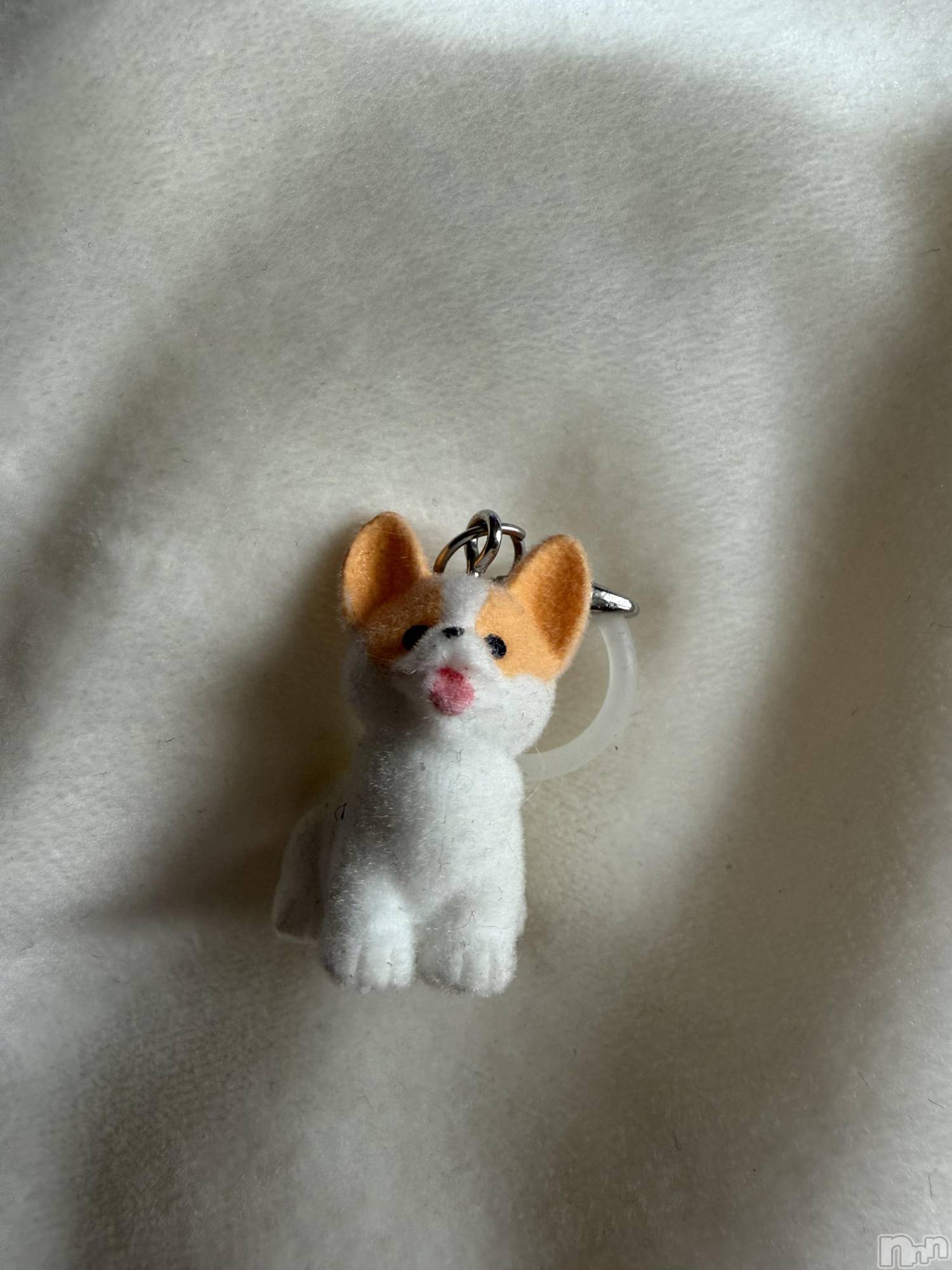 ��Į����Х��顦����֥���� �ץ���� ����(����� �ץ���� ������) ��2026ǯ4��21���̥�֥����֡���