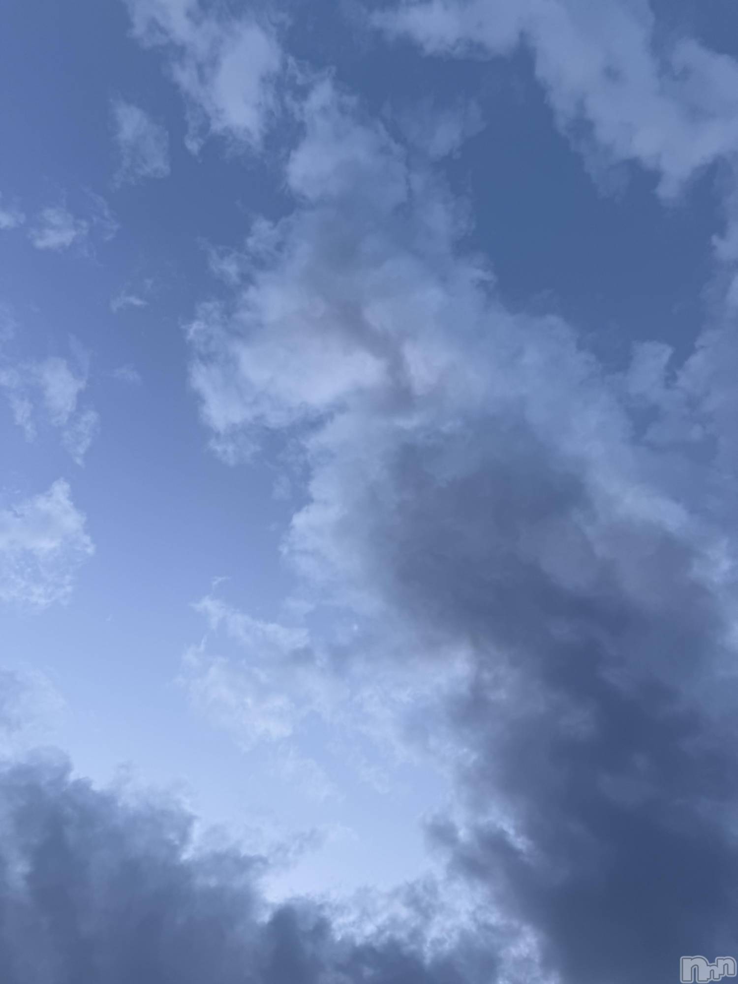 ��Į����Х��顦����֥���� �ץ���� ����(����� �ץ���� ������) ��2026ǯ4��22���̥�֥����֡���