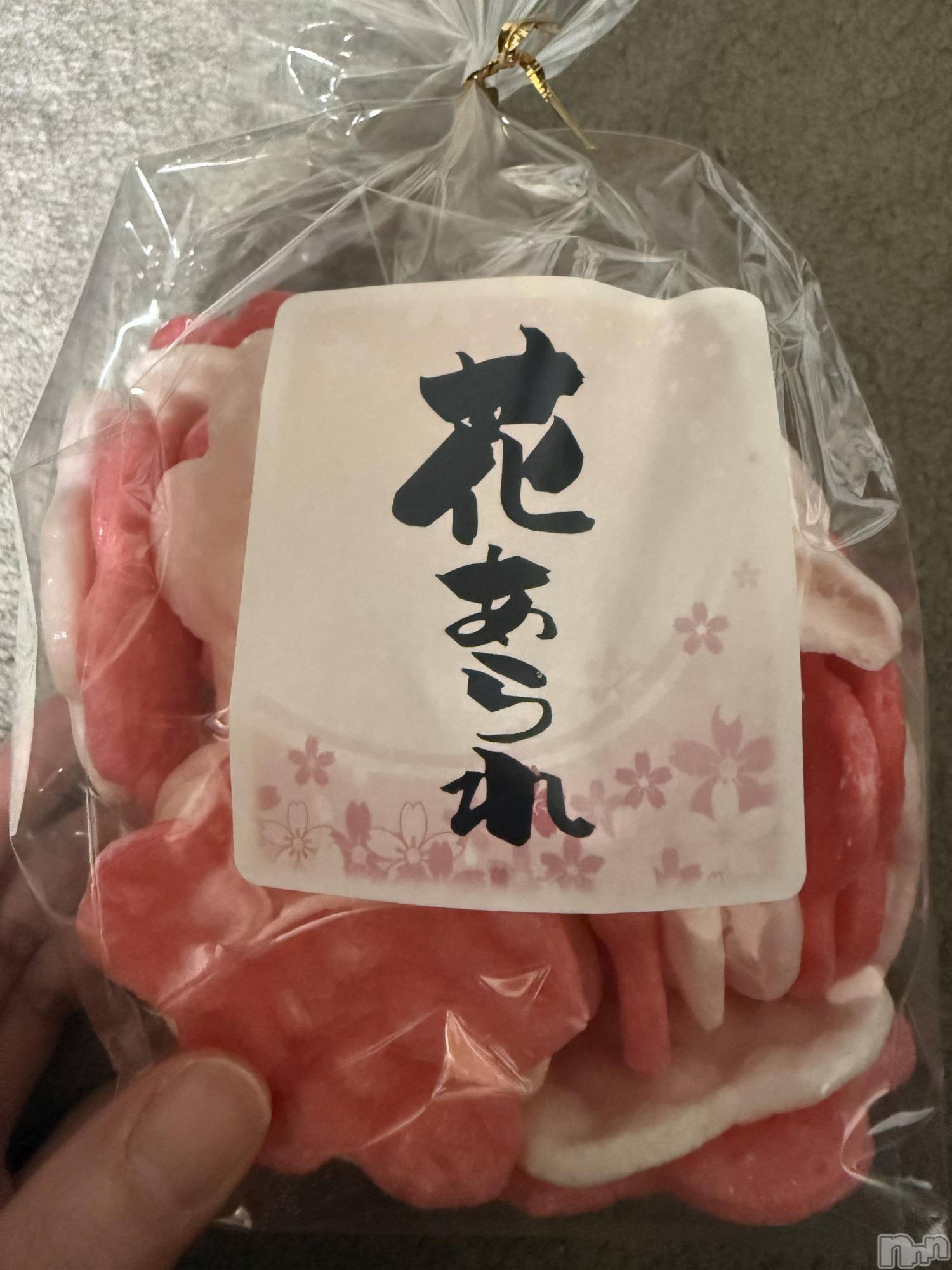 ��Į����Х��顦����֥���� �ץ���� ����(����� �ץ���� ������) ��2026ǯ4��22���̥�֥����֡���