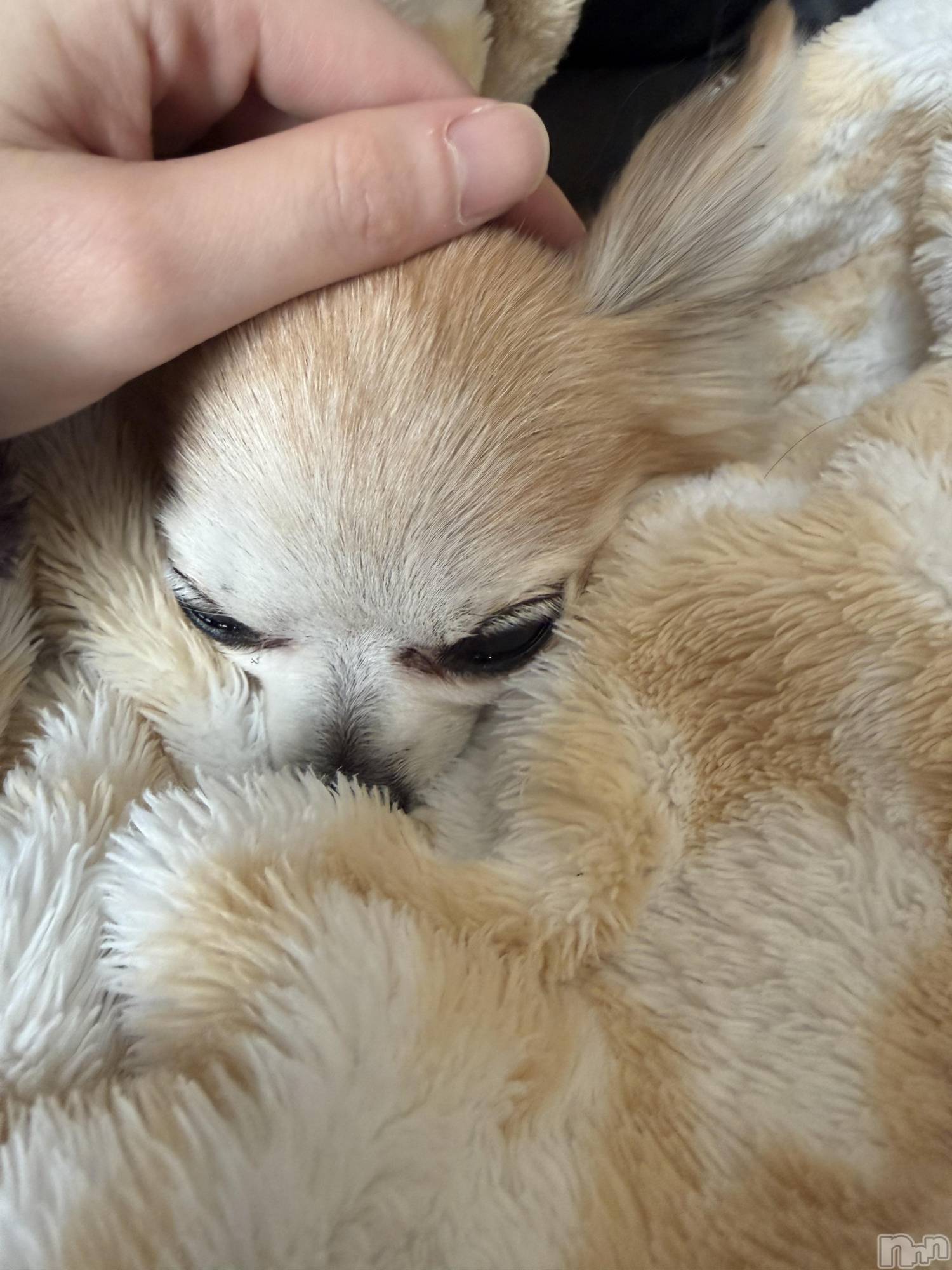 ��Į����Х��顦����֥���� �ץ���� ����(����� �ץ���� ������) ��2026ǯ4��23���̥�֥����֡���