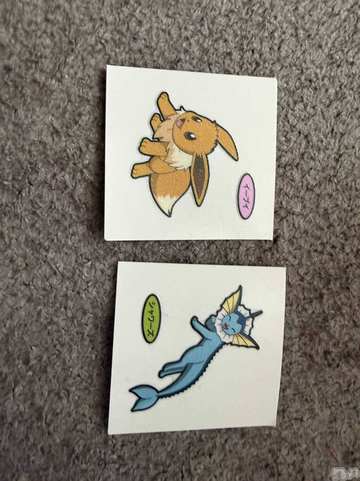 ��Į����Х��顦����֥���� �ץ���� ����(����� �ץ���� ������) ��2026ǯ4��25���̥�֥����֡���