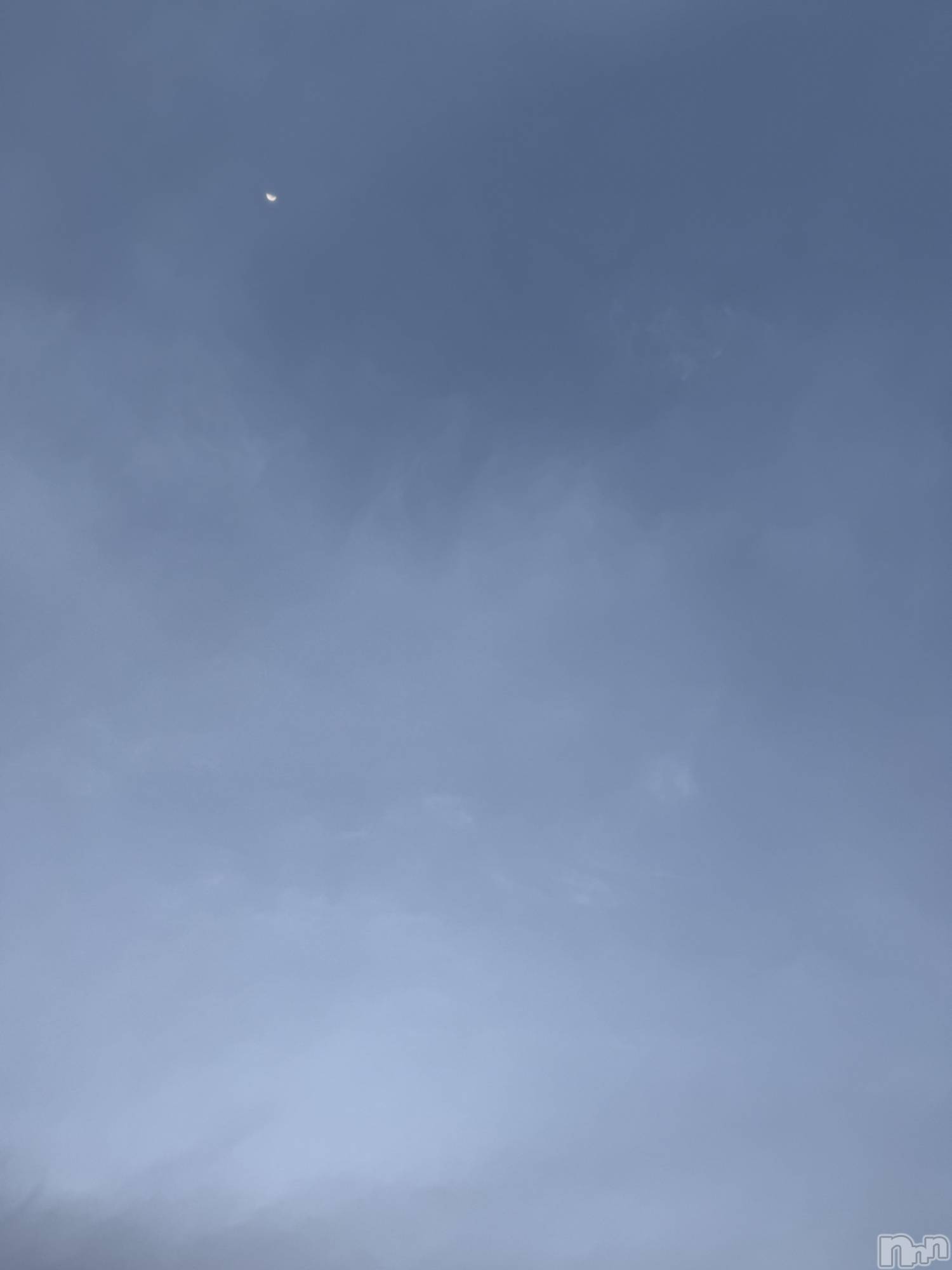 ��Į����Х��顦����֥���� �ץ���� ����(����� �ץ���� ������) ��2026ǯ4��25���̥�֥����֡���