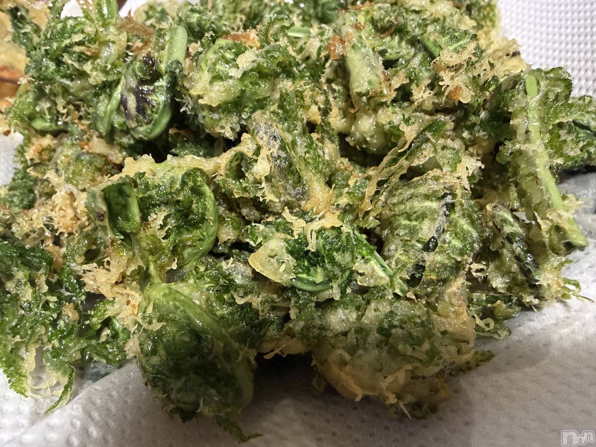 ��Į����Х��顦����֥���� �ץ���� ����(����� �ץ���� ������) ��2026ǯ4��27���̥�֥����֡���