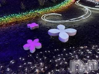 ĮХ顦֥ ץ ( ץ ) 2025ǯ114̥֥֡