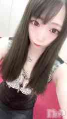 ��Į����Х��顦����� ����� �ץ���� ����(����� �ץ���� ������) ���ߤ���1��4��ư��֡���