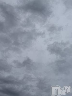 ĮХ顦֥ ץ ( ץ ) ߤ527̥֥֡