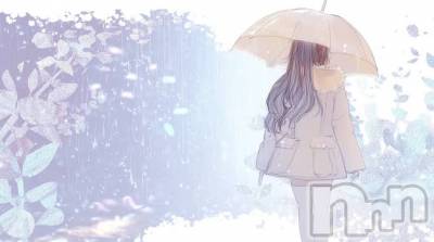 ĮХ顦֥ ץ ( ץ ) ߤ530̥֥֡