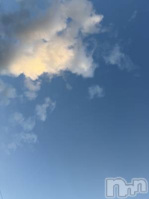 ĮХ顦֥ ץ ( ץ ) ߤ65̥֥֡