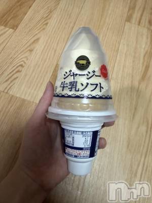 ĮХ顦֥ ץ ( ץ ) ߤ626̥֥֡