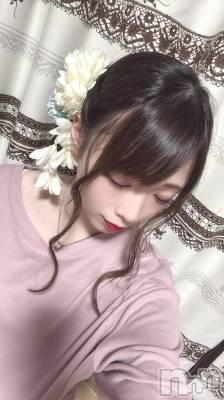 ĮХ顦֥ ץ ( ץ ) ߤ713̥֥֡