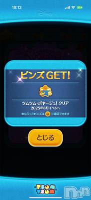 ĮХ顦֥ ץ ( ץ ) ߤ811̥֥֡