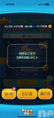 ĮХ顦֥ ץ ( ץ ) ߤ813̥֥֡