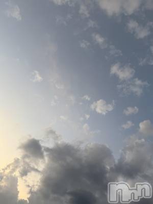 ĮХ顦֥ ץ ( ץ ) ߤ824̥֥֡