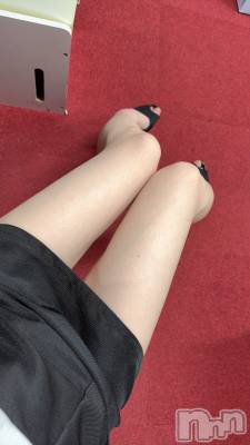 ĮХ顦֥ ץ ( ץ ) ߤ921̥֥֡