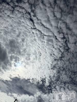 ĮХ顦֥ ץ ( ץ ) ߤ1018̥֥֡