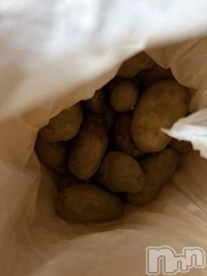 ĮХ顦֥ ץ ( ץ ) ߤ1019̥֥֡