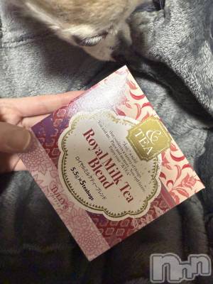 ĮХ顦֥ ץ ( ץ ) ߤ1022̥֥֡