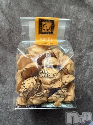 ĮХ顦֥ ץ ( ץ ) ߤ1024̥֥֡